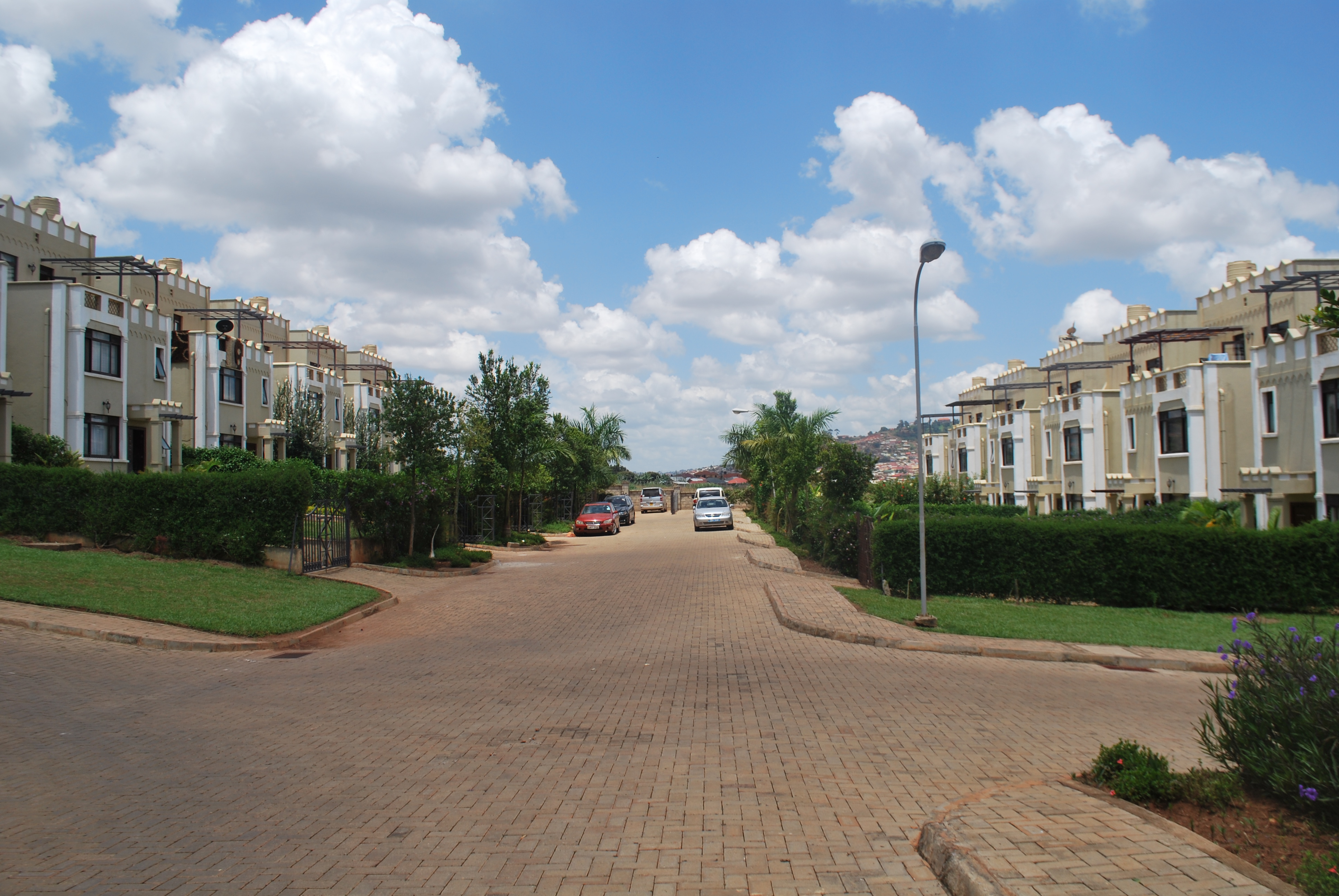 Tuarus courts royal palms